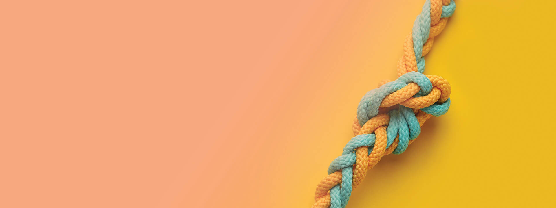 Two ropes braided together and forming a knot