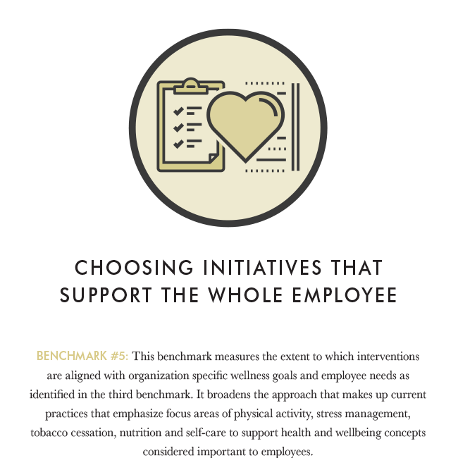 Choosing Appropriate Initiatives Planning Template
