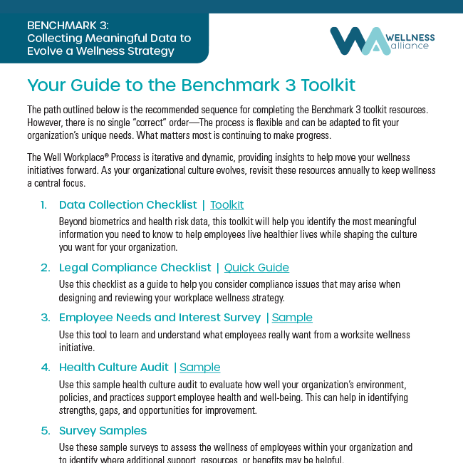 Guide to the Benchmark 3 Toolkit