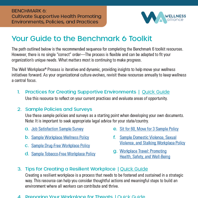 Guide to the Benchmark 6 Toolkit