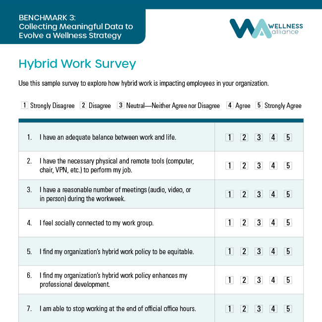 Hybrid Work Sample Survey