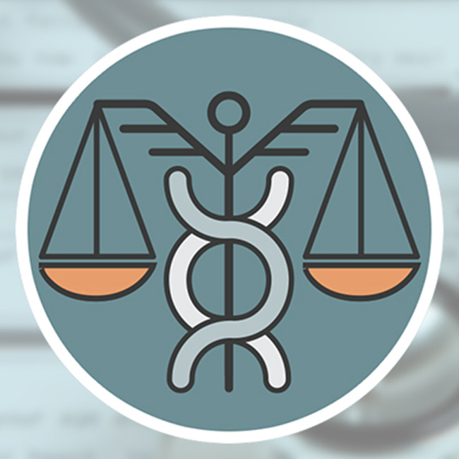 Balance of justice icon