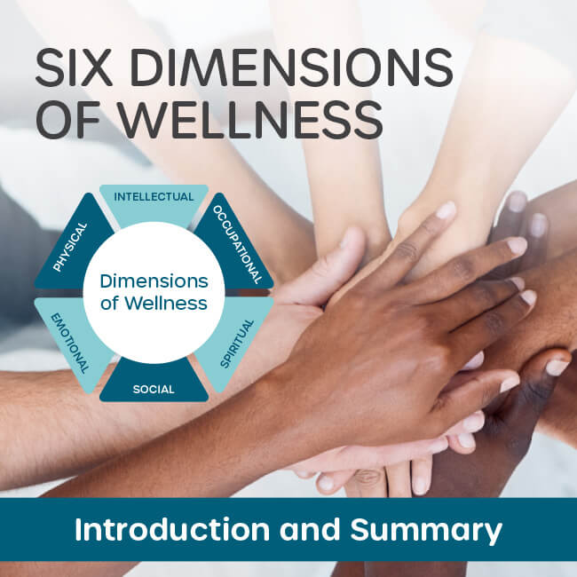 Six Dimensions of Wellness: Introduction & Summary