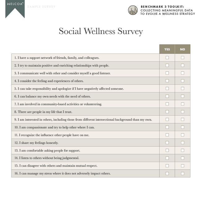 Social Wellness Sample Survey