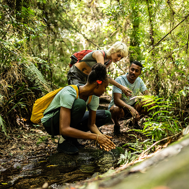 A group of hikers crouched down looking at a plant